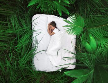 CBD For Sleep? The New Insomnia Cure