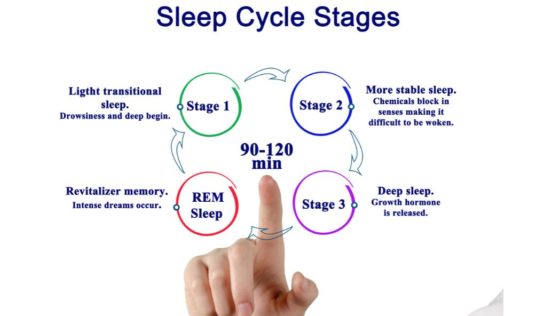 The Sleep Cycle and 4 Stages of Sleep – How CBD Can Help
