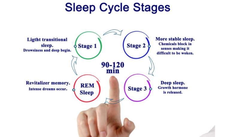 The Sleep Cycle and 4 Stages of Sleep - How CBD Can Help - Live Better CBD