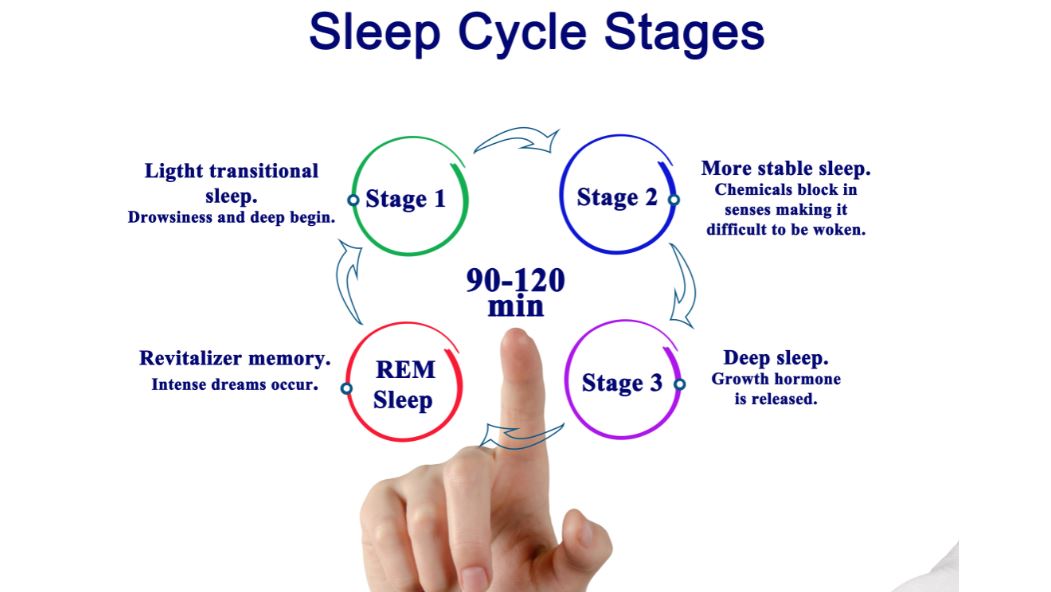 What Are The Four Stages Of Sleep Called